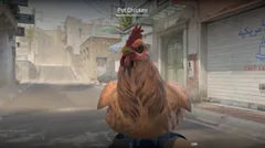 CS3NEWS CHICKEN 10