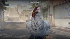 CS3NEWS CHICKEN 11