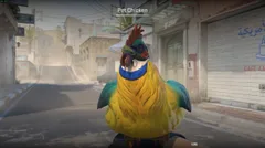 CS3NEWS CHICKEN 12
