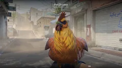 CS3NEWS CHICKEN 13