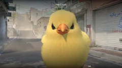 CS3NEWS CHICKEN 14