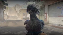 CS3NEWS CHICKEN 15