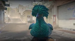 CS3NEWS CHICKEN 16