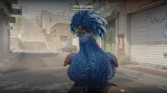 CS3NEWS CHICKEN 17