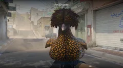 CS3NEWS CHICKEN 18