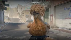 CS3NEWS CHICKEN 19