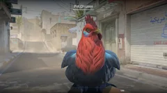 CS3NEWS CHICKEN 2