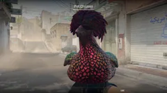 CS3NEWS CHICKEN 20