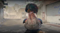 CS3NEWS CHICKEN 22