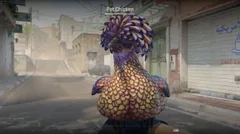 CS3NEWS CHICKEN 23