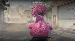 CS3NEWS CHICKEN 24