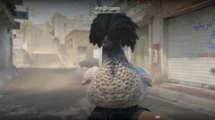CS3NEWS CHICKEN 25
