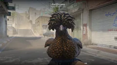 CS3NEWS CHICKEN 26