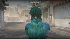 CS3NEWS CHICKEN 27