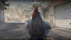 CS3NEWS CHICKEN 3