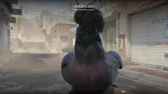 CS3NEWS CHICKEN 30