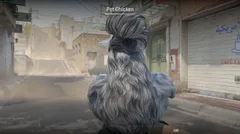 CS3NEWS CHICKEN 32