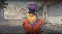 CS3NEWS CHICKEN 33