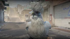 CS3NEWS CHICKEN 34