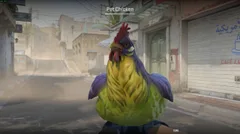 CS3NEWS CHICKEN 4