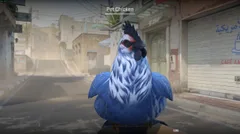 CS3NEWS CHICKEN 5