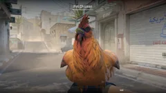 CS3NEWS CHICKEN 6