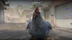 CS3NEWS CHICKEN 7