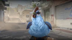 CS3NEWS CHICKEN 8