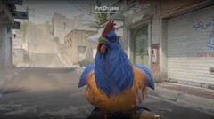 CS3NEWS CHICKEN 9